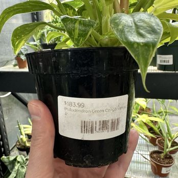 Found Things - Nurseries & Gardening Near Me - Syracuse, New York
