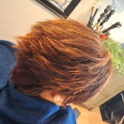 Shear Dimensions Hair Design - Fall colors