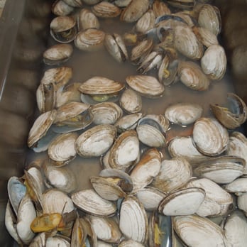 B & M Catering - and clams - Caterers Near Me - Pawtucket, Rhode Island