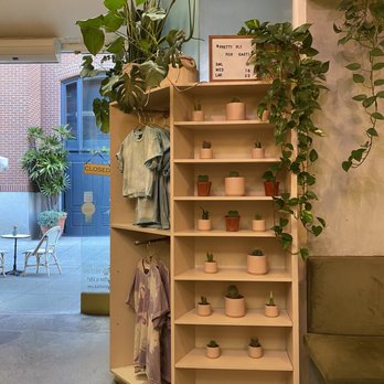 Coffee and Plants - Plants and merchandise for sale - Coffee & Tea Near Me - Pasadena, California Coffee and Plants - Plants and merchandise for sale - Coffee & Tea Near Me - Pasadena, California