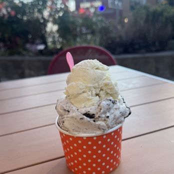 Canarino Gelato - Ice Cream & Frozen Yogurt Near Me - Edmonds, Washington