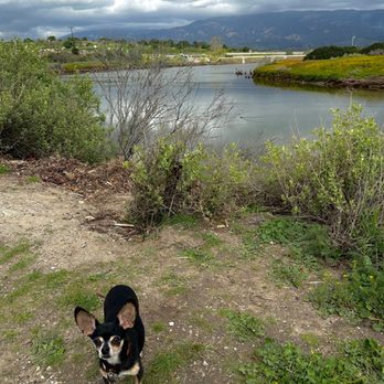 Goleta Beach Park - Bird reserve by the Goleta Beach Park. - Parks Near Me - Goleta, California