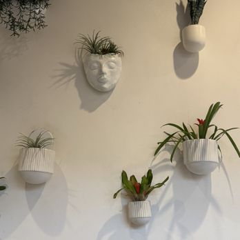 Sixty Vines - Love the plant decor on the wall. - New American Near Me - Plano, Texas Sixty Vines - Love the plant decor on the wall. - New American Near Me - Plano, Texas
