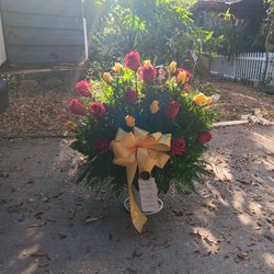 Designs by Carmen