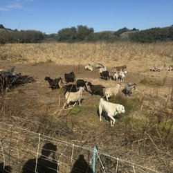 Fifth Crow Farm