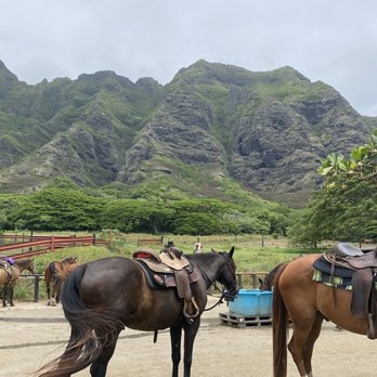 Kualoa Ranch - Before checking into your activity, you can walk around. We chilled with the horses! - Tours Near Me - Kaneohe, Hawaii Kualoa Ranch - Before checking into your activity, you can walk around. We chilled with the horses! - Tours Near Me - Kaneohe, Hawaii