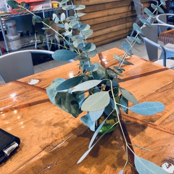 Vessel Sandwich - Fresh live plants on every table! - Salad Near Me - Flagler Beach, Florida