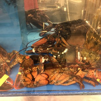 MD Oriental Market - Live lobsters - International Grocery Near Me - Pinellas Park, Florida MD Oriental Market - Live lobsters - International Grocery Near Me - Pinellas Park, Florida