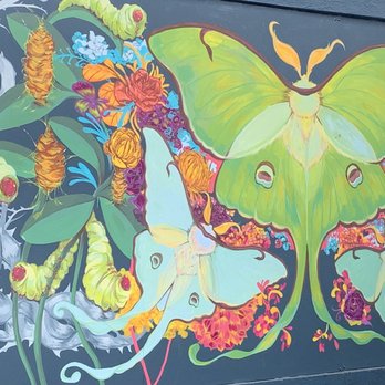 Carytown Shopping District - Local Flavor Near Me - Richmond, Virginia