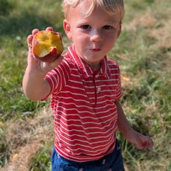 Country Mill Orchard & Cider Mill - Delicious peaches available for u-pick, organic and conventional
