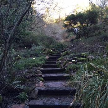 Regional Parks Botanic Garden at Tilden - Botanical Gardens Near Me - Berkeley, California