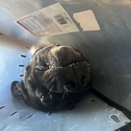 Winnie's smiles after the vet! Winnie's smiles after the vet!