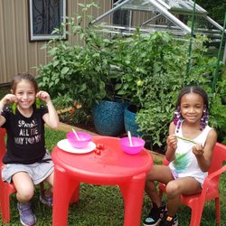 Jolly Toddlers Early Education Center, Preschool, & Kindergarten - The kids enjoying the garden. Every year we let the kids pick their own fruits&veggies.