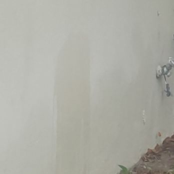 Arbor Wise Professional Tree Care - Urine Stain - Tree Services Near Me - Saint Petersburg, Florida Arbor Wise Professional Tree Care - Urine Stain - Tree Services Near Me - Saint Petersburg, Florida