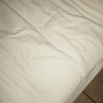 Flamingo Waterpark Resort - Hopefully not bedbugs - Resorts Near Me - Kissimmee, Florida Flamingo Waterpark Resort - Hopefully not bedbugs - Resorts Near Me - Kissimmee, Florida