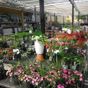Walmart Garden Center - Walmart Garden Center - Nurseries & Gardening Near Me - Charleston, South Carolina Walmart Garden Center - Walmart Garden Center - Nurseries & Gardening Near Me - Charleston, South Carolina
