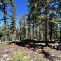 Photo of Rubicon Peak Trail