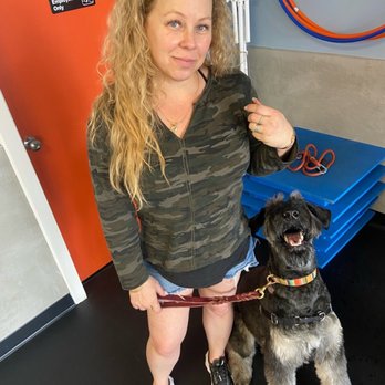 Zoom Room Dog Training - Pet Stores Near Me - Savannah, Georgia Zoom Room Dog Training - Pet Stores Near Me - Savannah, Georgia