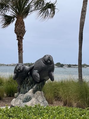 Manatee Lagoon by null