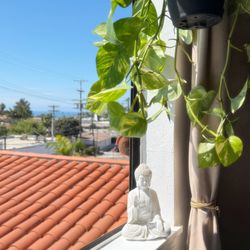 Natural Beauty by Bre - Our temple ocean view