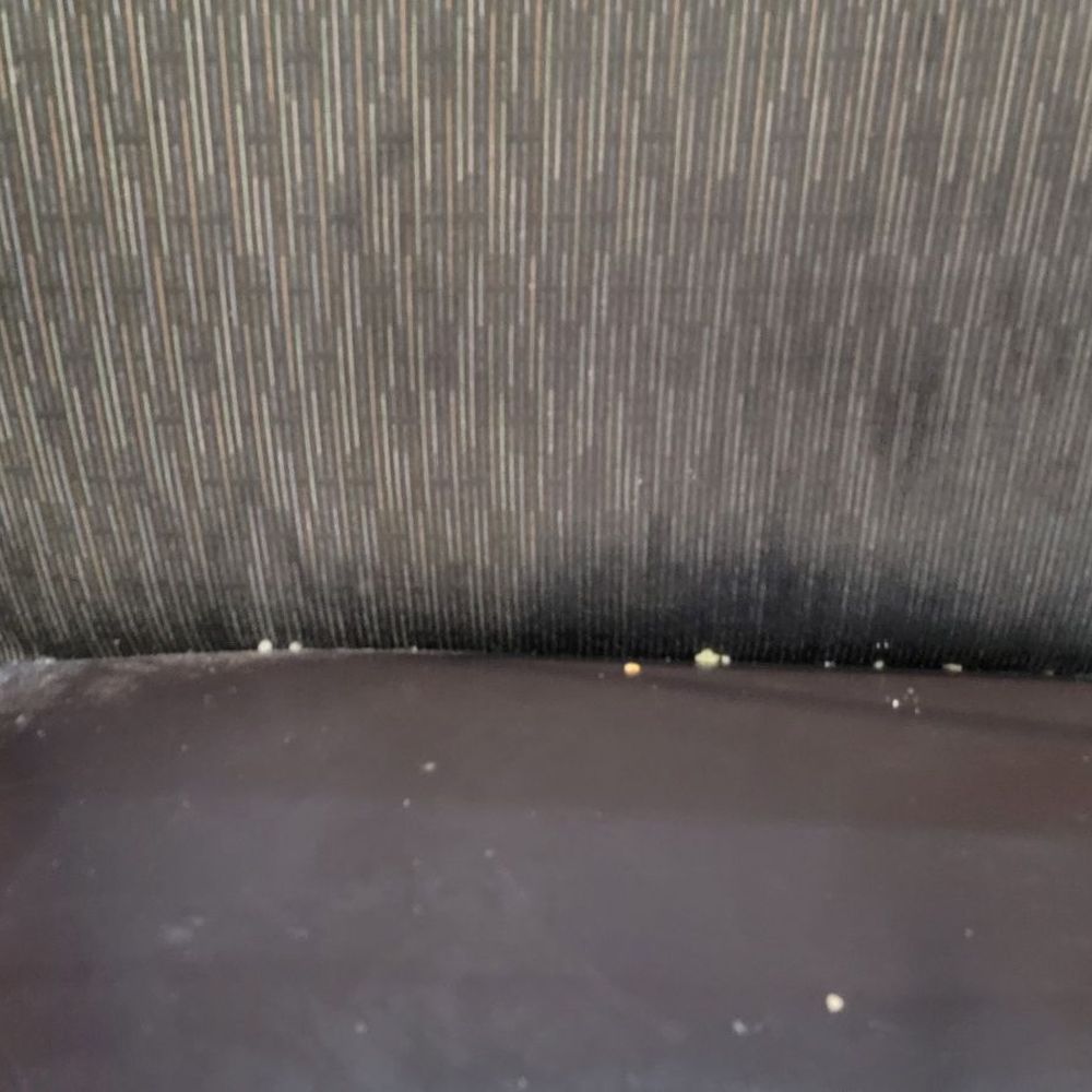 Corner Bakery Cafe - Shows how dirty the booths are. Maybe a previous customer? - Sandwiches Near Me - Lakewood, California Corner Bakery Cafe - Shows how dirty the booths are. Maybe a previous customer? - Sandwiches Near Me - Lakewood, California