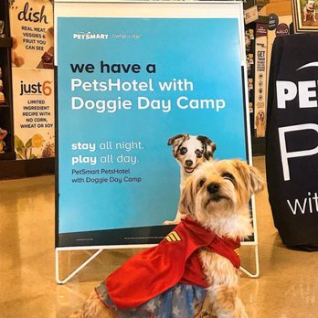 Four Paws Made The Petsmart Mountain View Instagram Post Today