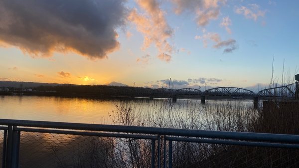 Vancouver Waterfront by null