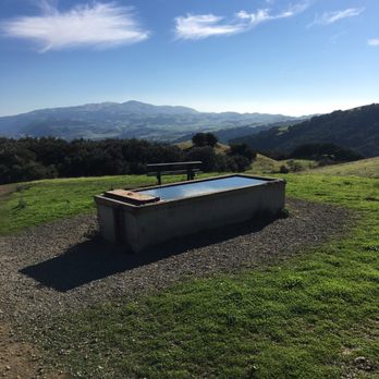 Pleasanton Ridge Regional Park - There were actually goldfish and guppies swimming in the water tank here. - Parks Near Me - Pleasanton, California