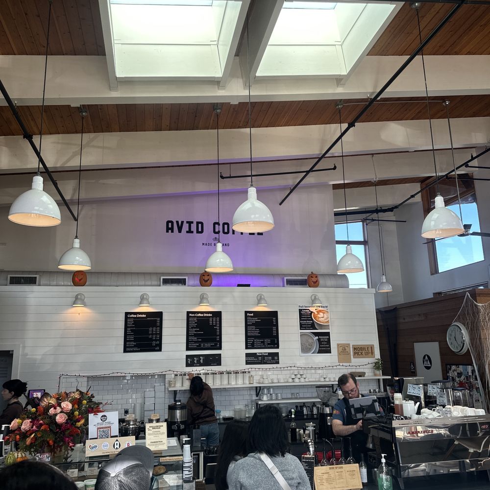Avid Coffee - Pumpkin latte - Cafes Near Me - Santa Rosa, California Avid Coffee - Pumpkin latte - Cafes Near Me - Santa Rosa, California