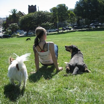 DogGrrl - Dog Walkers Near Me
