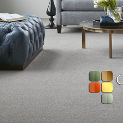 Carpet Land