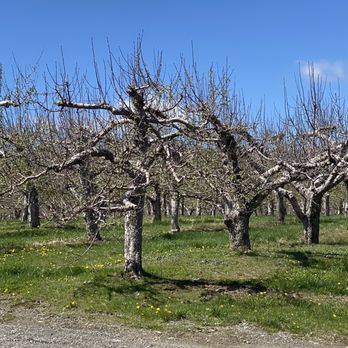 Hilltop Orchards - Wine Tasting Room Near Me - Richmond, Massachusetts