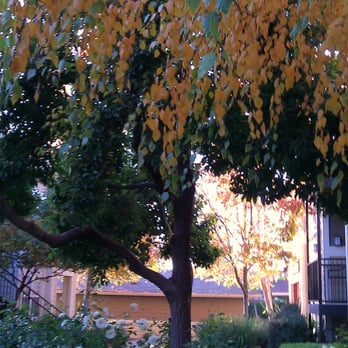 McKenzie at Natomas Park - Apartments Near Me - Sacramento, California McKenzie at Natomas Park - Apartments Near Me - Sacramento, California