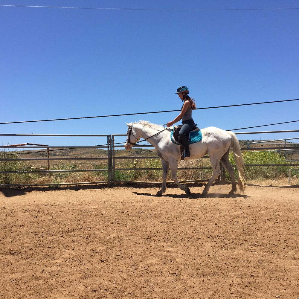 Stepp Stables - Horseback Riding Near Me - Oceanside, California Stepp Stables - Horseback Riding Near Me - Oceanside, California