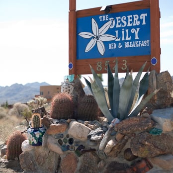 The Desert Lily - Bed & Breakfast Near Me - Joshua Tree, California The Desert Lily - Bed & Breakfast Near Me - Joshua Tree, California