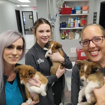Dorr Veterinary Clinic - Veterinarians Near Me - Dorr, Michigan