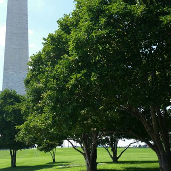 National Mall - Landmarks & Historical Buildings Near Me - Washington, DC, District of Columbia