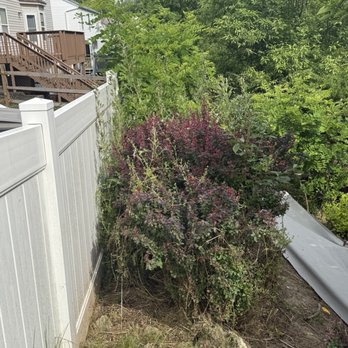 MAA Landscaping - Weeds left behind in bush and outside, area not covered with weed barrier. - Landscaping Near Me - Pittsburgh, Pennsylvania