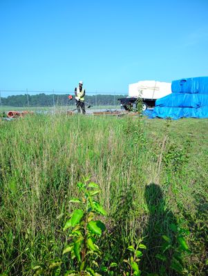 Broham Janitorial and Landscaping