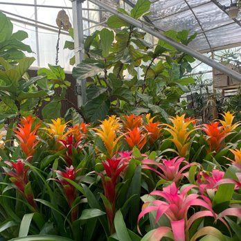 Plantkeeper - Nurseries & Gardening Near Me - Dallas, Texas Plantkeeper - Nurseries & Gardening Near Me - Dallas, Texas