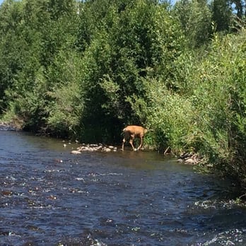 Chama River Bend Lodge - Must be good luck to see deer while fishing. - Hotels Near Me - Chama, New Mexico