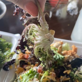 Cotton Patch Cafe - American Near Me - Cedar Hill, Texas