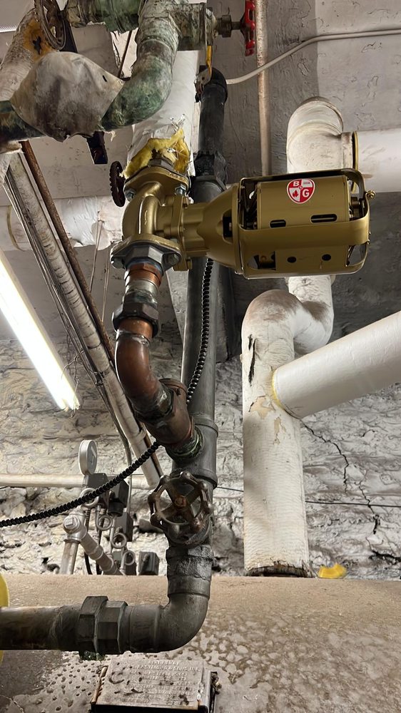 Slide of Eudomal Plomero