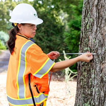 Bartlett Tree Experts - Delta - Tree Services Near Me - Delta, British Columbia Bartlett Tree Experts - Delta - Tree Services Near Me - Delta, British Columbia