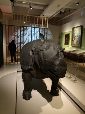 Science Museum by null