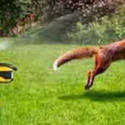 Rocky Mountain Sprinklers & Landscaping - 12/10/21. Sprinkle away...