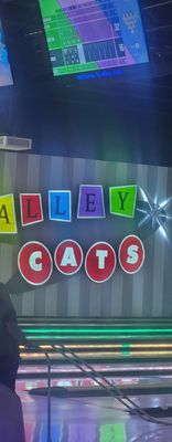 Alley Cats Entertainment by null