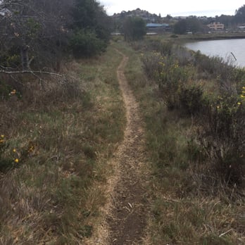 Bothin Marsh Preserve - Parks Near Me - Mill Valley, California Bothin Marsh Preserve - Parks Near Me - Mill Valley, California