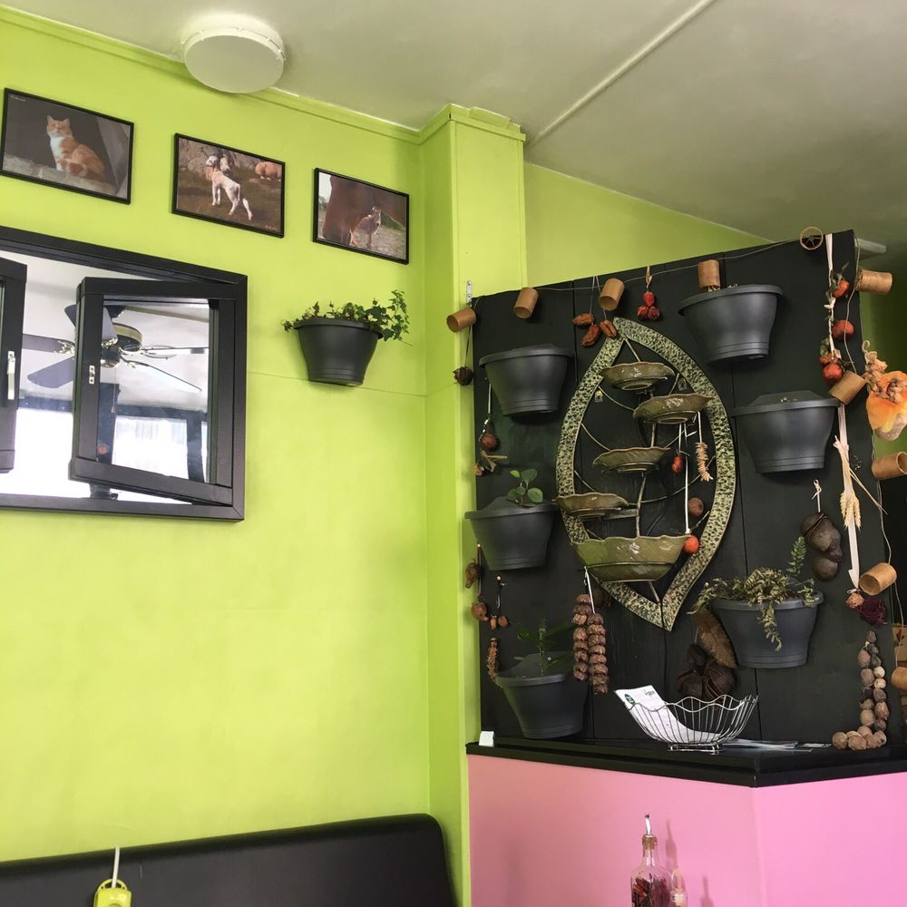 Veg'Art - The interior has cat pictures in frames and other eclectic decorations. - Vegetarian Near Me - Paris, 75 Veg'Art - The interior has cat pictures in frames and other eclectic decorations. - Vegetarian Near Me - Paris, 75