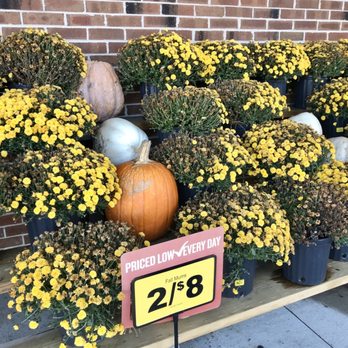 Food Lion - Flowers - Grocery Near Me - Virginia Beach, Virginia Food Lion - Flowers - Grocery Near Me - Virginia Beach, Virginia